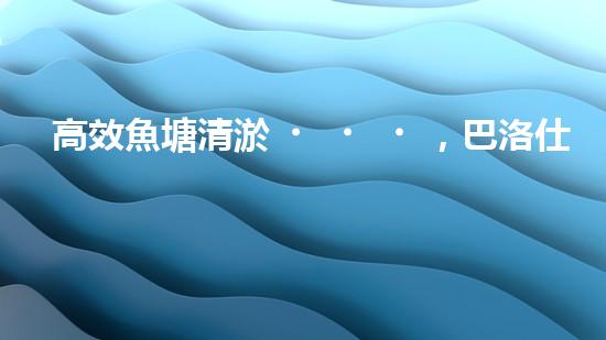 高效魚塘清淤，巴洛仕設(shè)備助力生態(tài)養(yǎng)殖